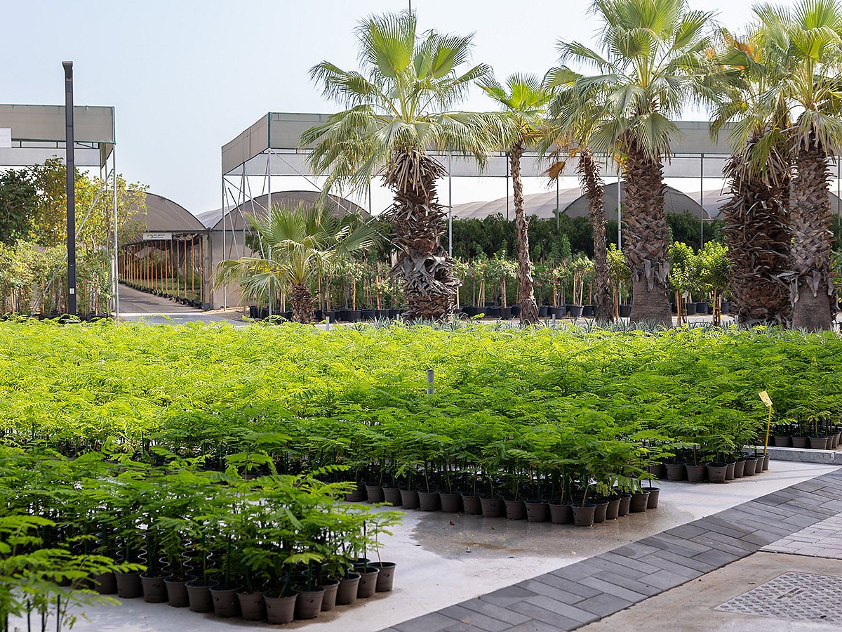 Dubai unveils ‘Al Freej Gardener’ to connect residents with licensed gardeners